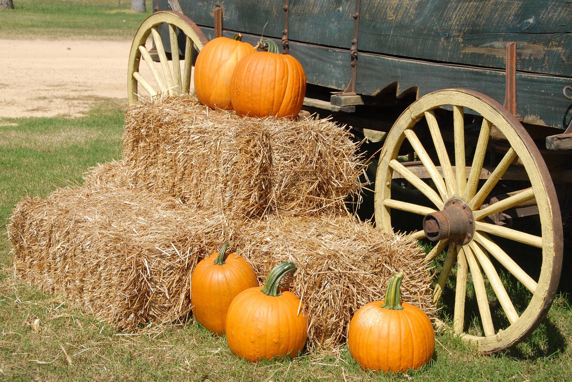 Pumpkins