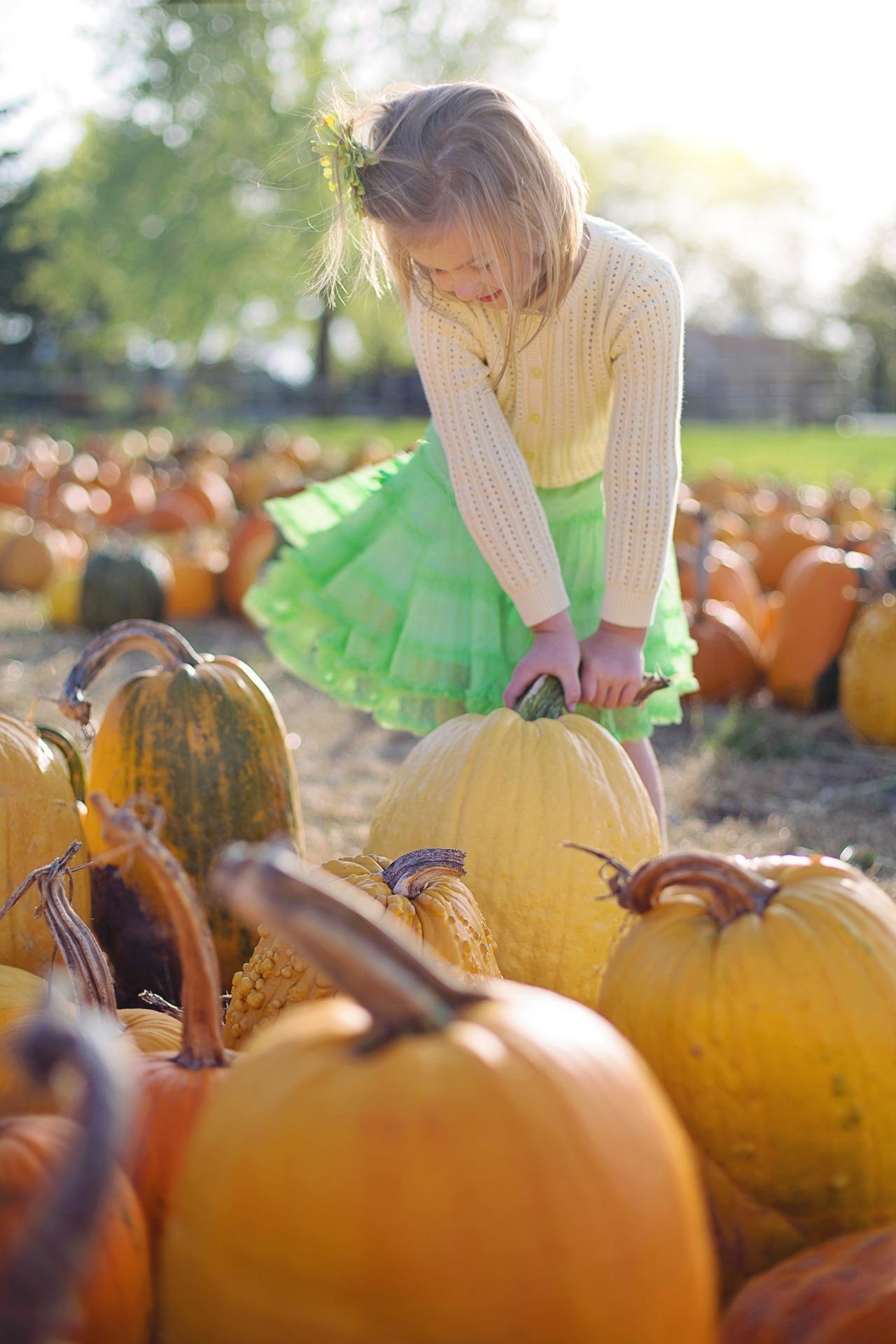 Pumpkins