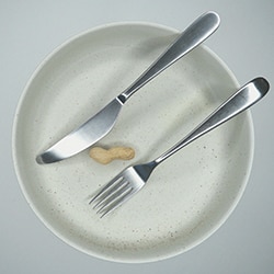 Chocolate History Bean